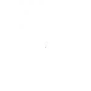 1회착용 스윙셋 제인 목걸이 네크리스 swingset jane 벨벳 리본