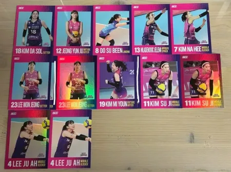 여자배구 흥국생명 23-24코보카드 노멀 패러렐